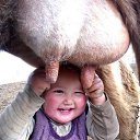 ���� �����, ������, 61 ��� - ��������� 26 ������� 2023 � ������ ���� ����������