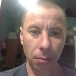 ������, ���������, 41 ���