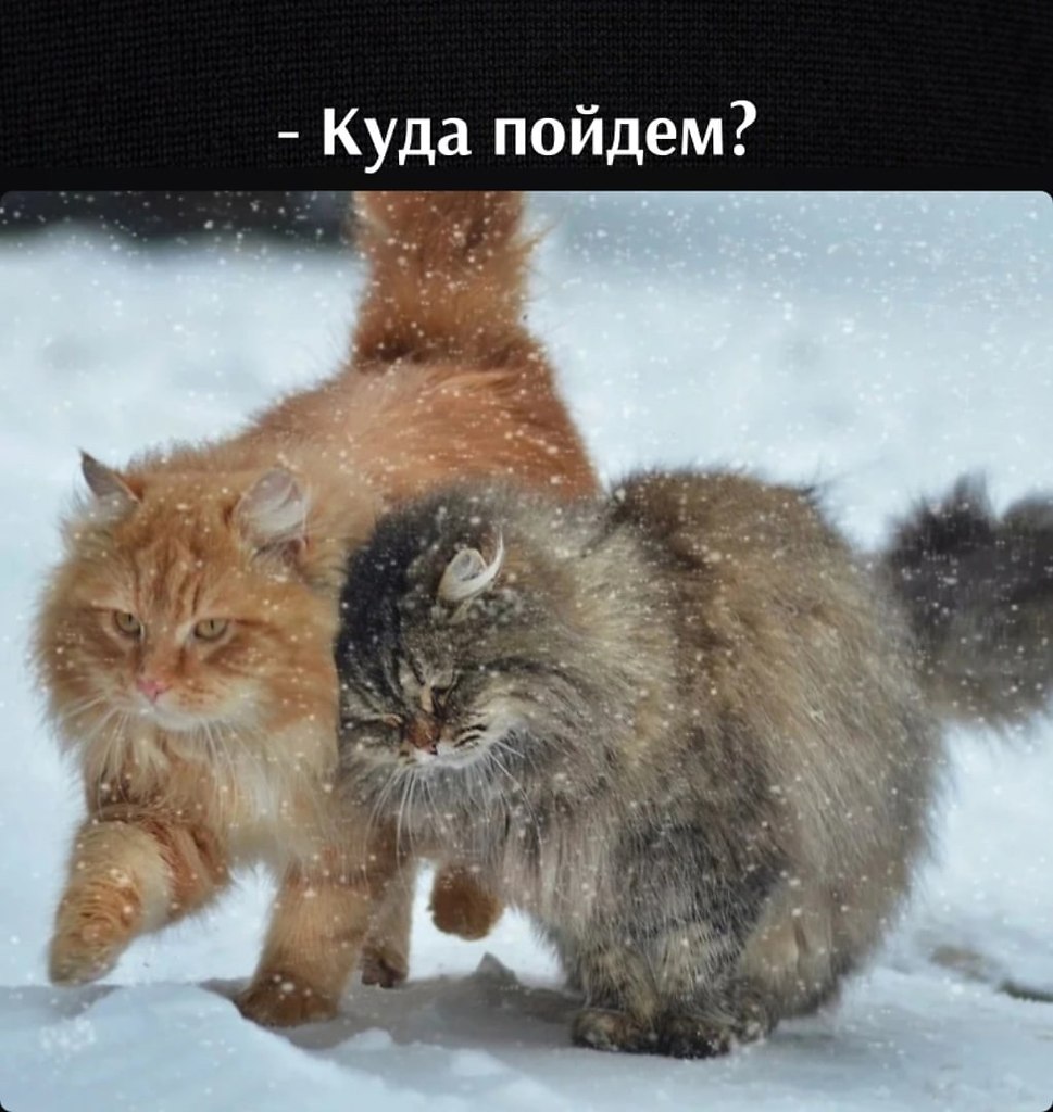       - 15  2023  12:58
