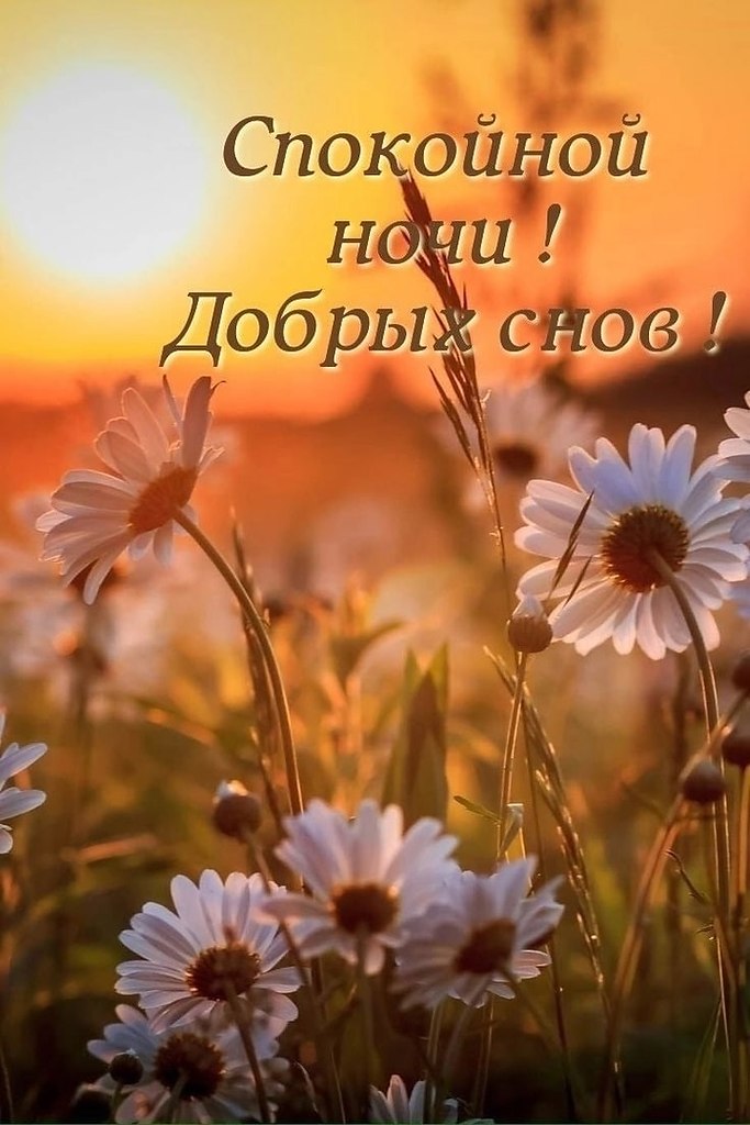   ,    . - 15  2023  21:15 - 2