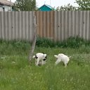 ���� ��������, ���������, 67 ��� - ��������� 28 ���� 2023 � ������ ���� ����������