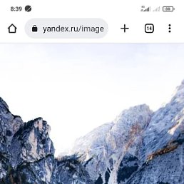 ������, ������, 44 ����