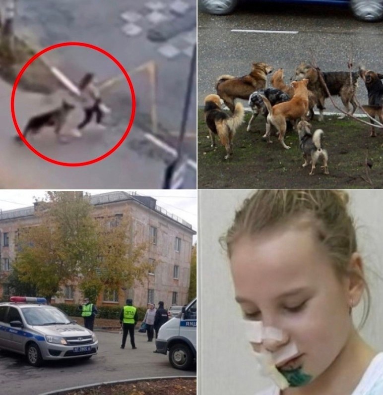 В обществе произошла ужасная трагедия, связанная с безответственными действиями одной пенсионерки. ...