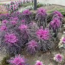 ���� ����, ������, 69 ��� - ��������� 5 ��� 2023 � ������ ���� ����������