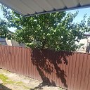 ���� �����, ������, 41 ��� - ��������� 9 ���� 2023 � ������ ���� ����������