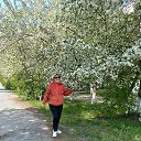 ���� �����, ������������, 72 ���� - ��������� 20 ��� 2023 � ������ ���� ����������