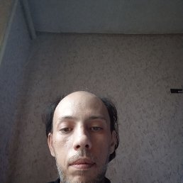 , 41, 