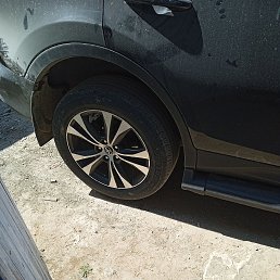 ���� ������, ������, 39 ��� - ��������� 18 ��� 2023