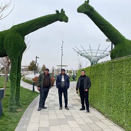 ���� ������, �����, 46 ��� - ��������� 3 ����� 2023