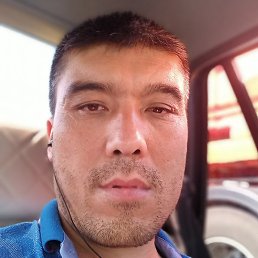 �����, ������, 41 ���