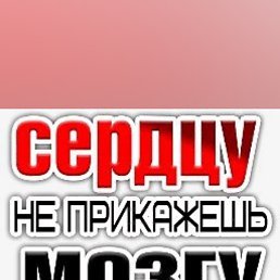 ���� ����, �������, 29 ��� - ��������� 14 ������ 2023