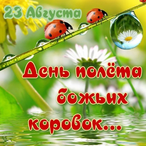  - 23  2023  08:42