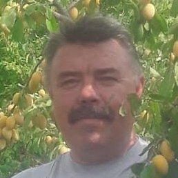 �����, ������, 58 ���