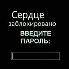   - 13  2023  15:20