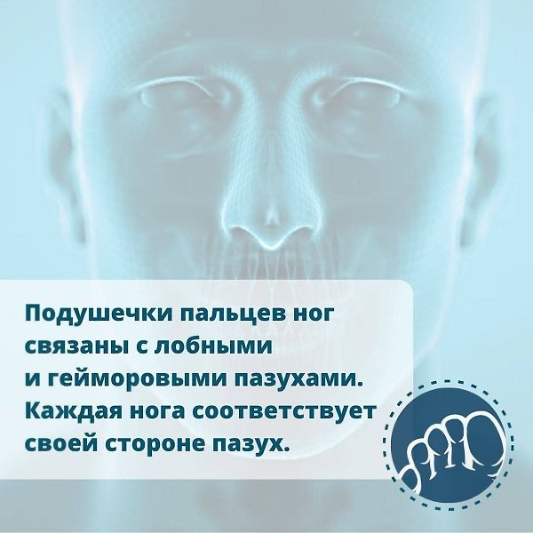 Как гвоздестояние помогает укрепить физическое и ментальное здоровье? Наше тело можно рассматривать, ... - 2