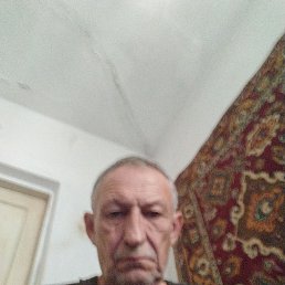 ���� ����������, �������, 66 ��� - ��������� 27 �������� 2023