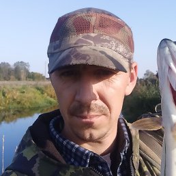 ������, �����, 38 ���