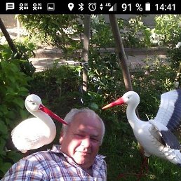 ������, �����-���������, 66 ���