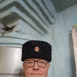 �����, ������, 67 ���