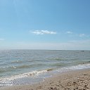 ���� �, ������, 42 ���� - ��������� 26 ��� 2023 � ������ ���� ����������