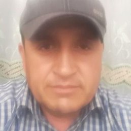 ������, �����, 40 ���