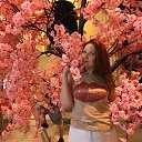 ���� �������, ���� - ��������� 3 �������� 2023 � ������ ���� ����������