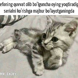 , , 22 