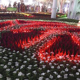 Gulomjon, �����, 30 ���