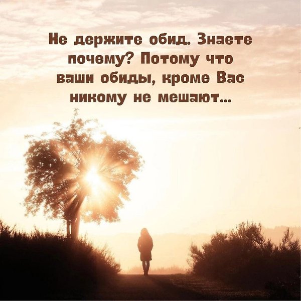   .zdms