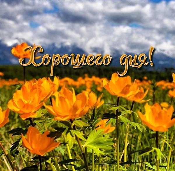   ,    . - 24  2023  13:10 - 2