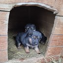 ���� ����, ������, 49 ��� - ��������� 13 ������ 2023 � ������ ���� ����������