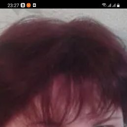 ����, ������, 49 ���