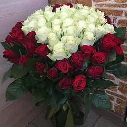 ���� ����, �����-���������, 40 ��� - ��������� 21 �������� 2023