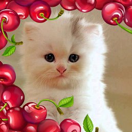 ������, ������, 25 ���