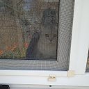 ���� ������, �����-���������, 42 ���� - ��������� 9 ��� 2023 � ������ ���� ����������