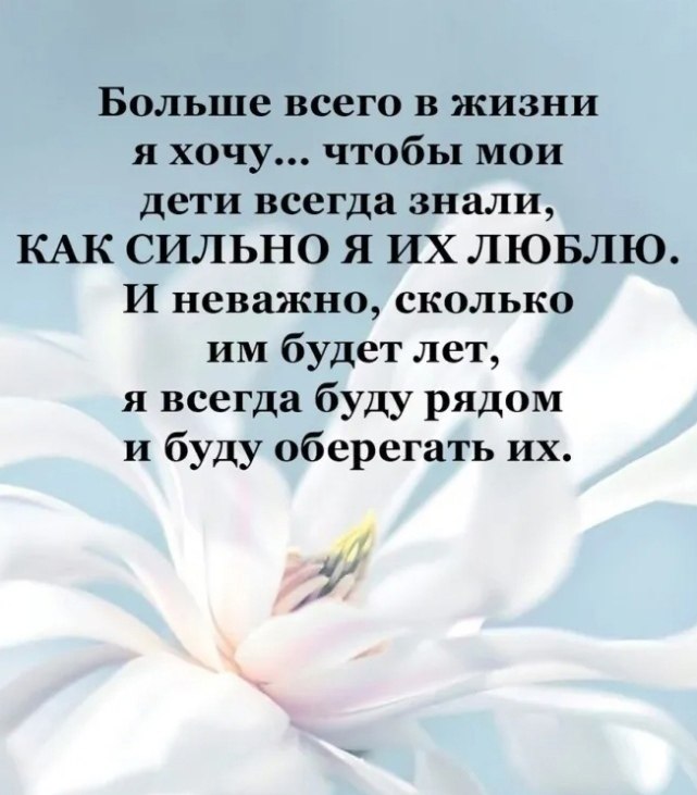  ,    ,    .