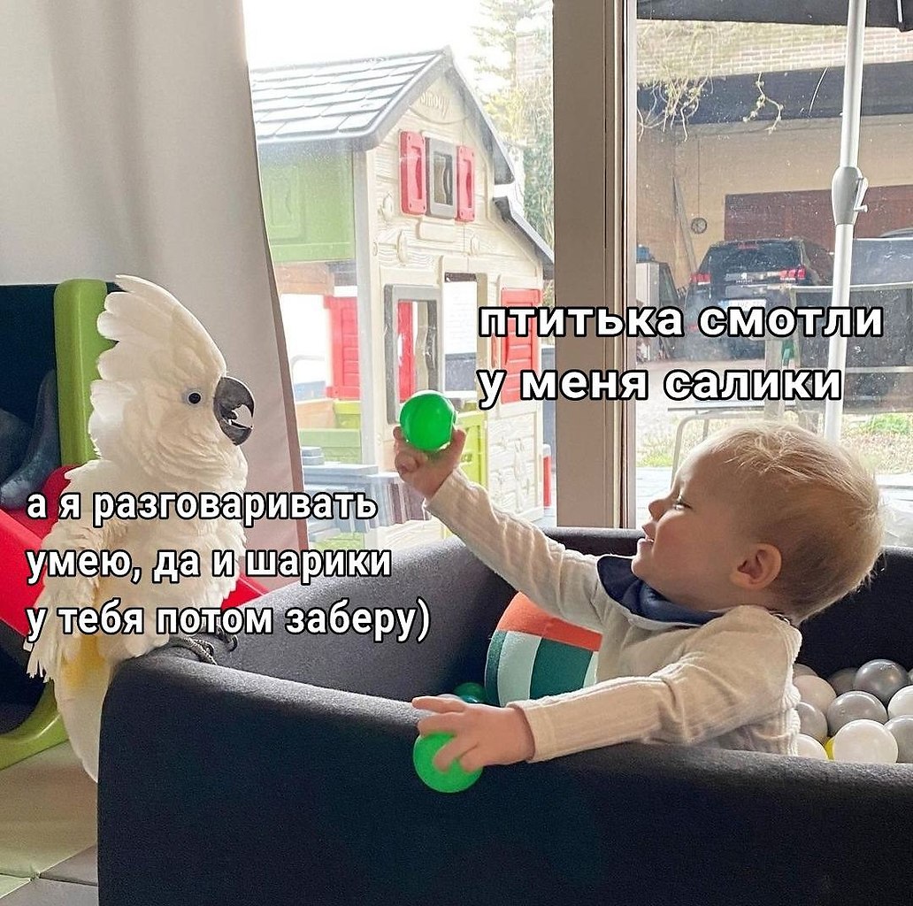    - 22  2023  23:17