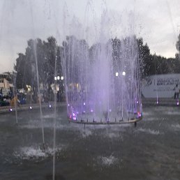 �����, �����, 38 ���