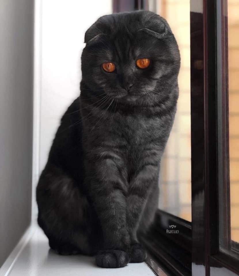 -     ?! - ,    ... -  ?   ?
