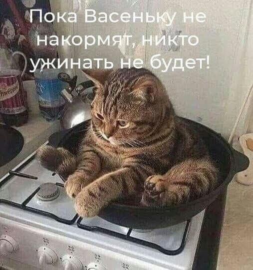   - 30  2023  13:50