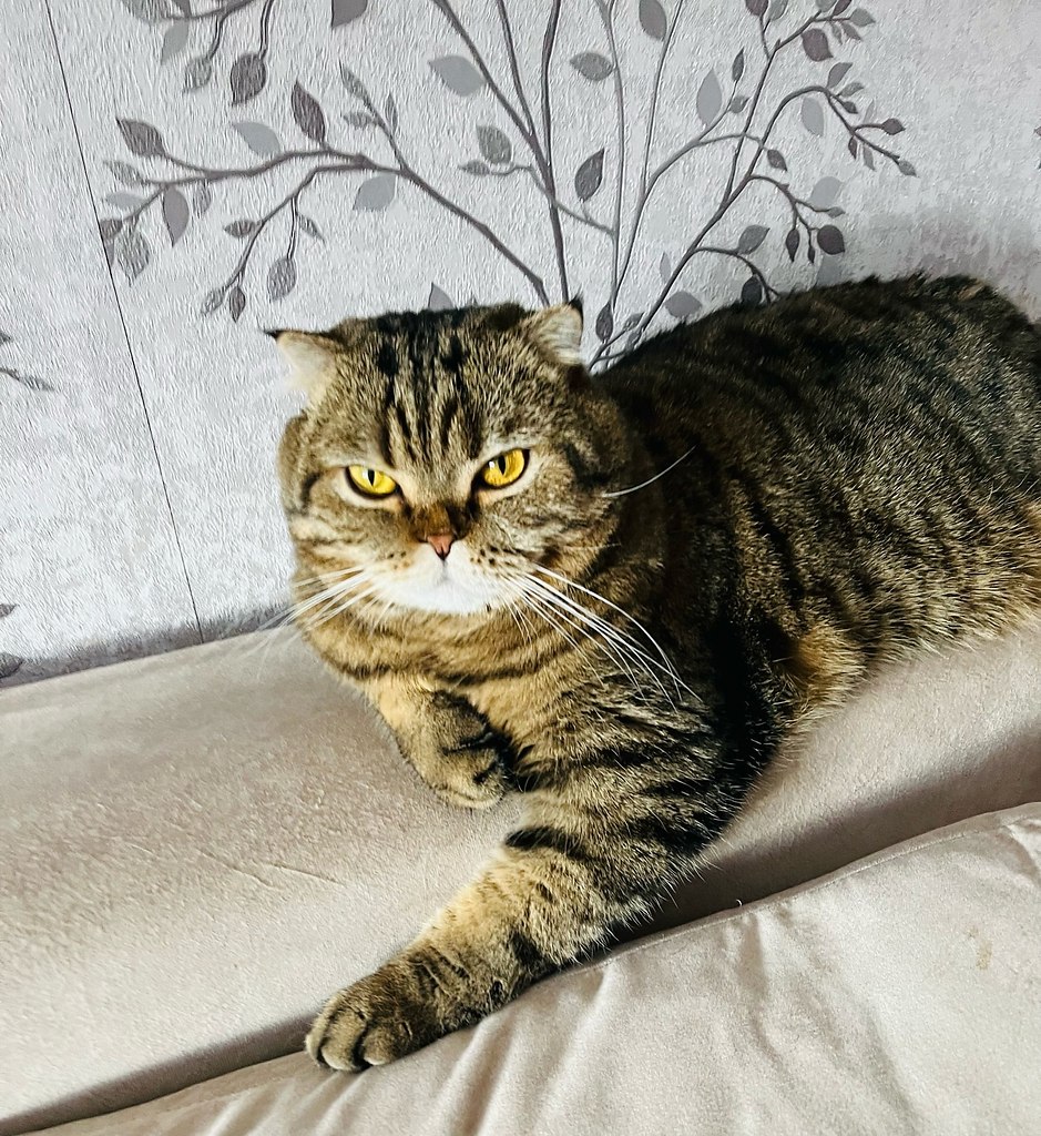 -      , ! ,    ,    ...