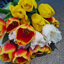 �������, ������, 47 ���