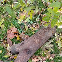  , -, 52  -  14  2023