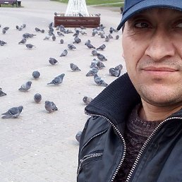 �������, ������, 43 ����