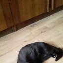 ���� �������, ������, 64 ���� - ��������� 19 ������� 2023 � ������ ���� ����������