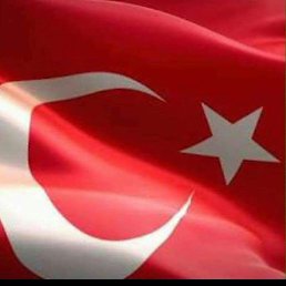 Ycel Dmrzn, ������, 47 ���