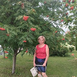 �����, ������, 59 ���