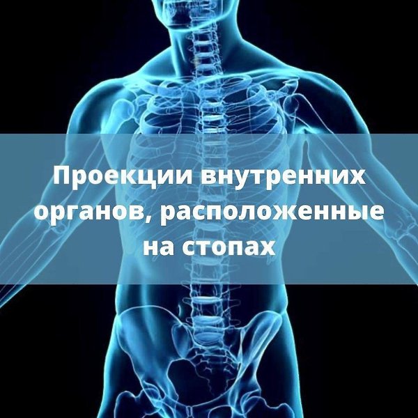 Как гвоздестояние помогает укрепить физическое и ментальное здоровье? Наше тело можно рассматривать, ...