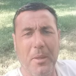 �����������, �����, 37 ���