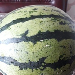 ���� ��������, ��������, 57 ��� - ��������� 18 �������� 2023